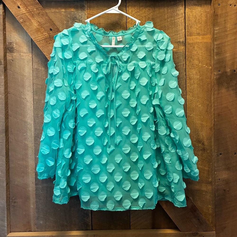 Chic & Cheerful Mint Textured Long Sleeve Top NWOT